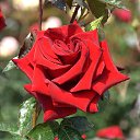 ���� Aleksandr, �����������, 64 ���� - ��������� 4 ���� 2025 � ������ ������ ��������