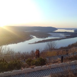 ���� ��������, ������, 71 ��� - ��������� 8 ������ 2025