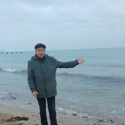 ����, �����-���������, 65 ���