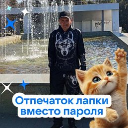 ���� ������, ������, 48 ��� - ��������� 9 ���� 2026
