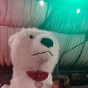 ���� �����, �����-���������, 48 ��� - ��������� 28 ���� 2025