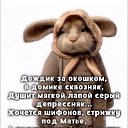 ���� ����, ����������� - ��������� 28 ������� 2025 � ������ ������ ��������