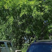 �����, 53 ����, ���������