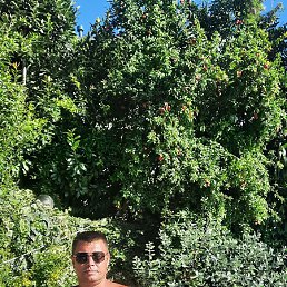 ������, ������, 52 ����