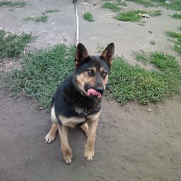 ������, ������, 62 ����