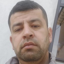 ���������, �����-���������, 37 ���