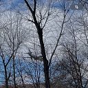 ���� ��������, �������, 42 ���� - ��������� 26 ����� 2025 � ������ ���� ����������