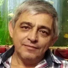 ������, ��������, 66 ���