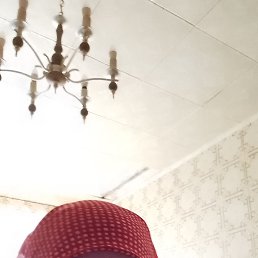 , 59, 