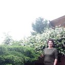 ���� ����, ����, 74 ���� - ��������� 14 ������� 2025 � ������ ���� ����������