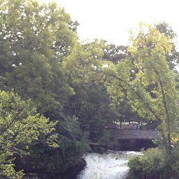 �������, ������, 59 ���