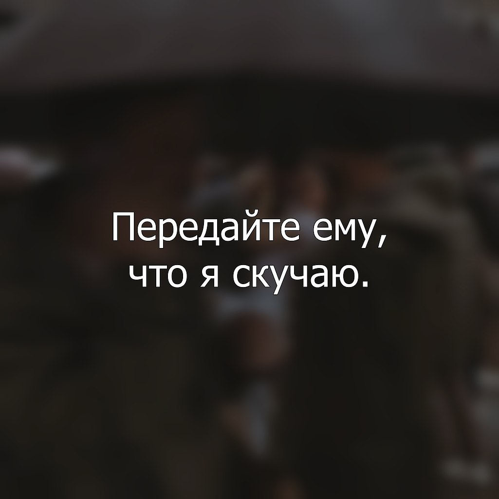    - 23  2025  11:19