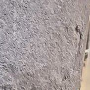 ����, 45 ���, �����������