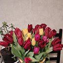 ���� ����, �����-���������, 42 ���� - ��������� 30 ����� 2026