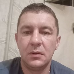 ���������, ���������, 43 ����