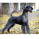 ���� �������, ���������, 49 ��� - ��������� 29 ������� 2025 � ������ ���� ����������