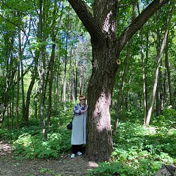 ���� ��������, ������, 60 ��� - ��������� 27 ���� 2025