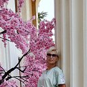 ���� �������, ��������� - ��������� 23 ������� 2024