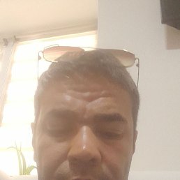 , 37, 