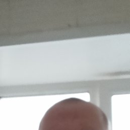 , 42, 