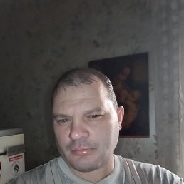 , 46 , 