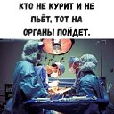 ���� ����, ��������� - ��������� 9 ���� 2026 � ������ ������ ��������