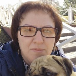 ���, �������, 44 ����