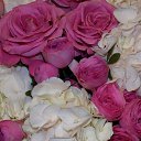 ���� �����, ������, 24 ���� - ��������� 30 ������� 2024 � ������ ���� ����������