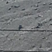 ������, 44 ����, ����