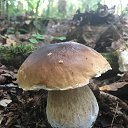 ���� ����, �����������, 67 ��� - ��������� 5 ������� 2024 � ������ ���� ����������