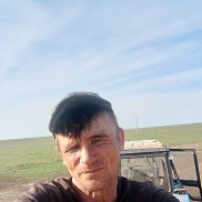 , 50 , 
