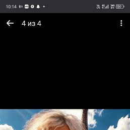 , 53, 