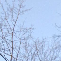 ���������, �����-���������, 28 ���