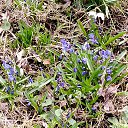 ���� ���, �������, 33 ���� - ��������� 8 ������ 2026 � ������ ������ ��������