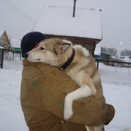 ������, ������, 58 ���