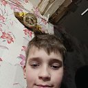 ���� �������, ���������, 53 ���� - ��������� 4 ������ 2024 � ������ ���� ����������