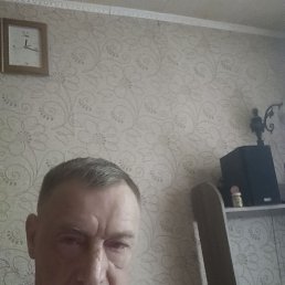 , 42, 