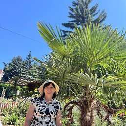 ���� Evdochia, ������, 42 ���� - ��������� 3 ���� 2026
