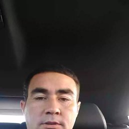 , 33, 
