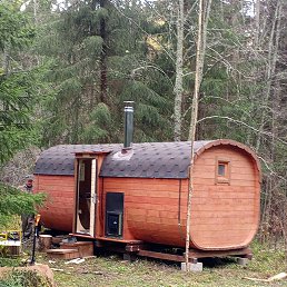 ���� ������, ���������, 42 ���� - ��������� 12 ������� 2024