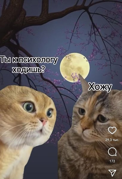 Возможно, те, кто обращается за психологической помощью, и чувствуют себя пустыми, но не является ли ...