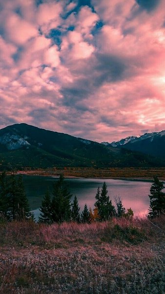 Если ты не идеален, то ты – эксклюзивная версия. Ким Намджун