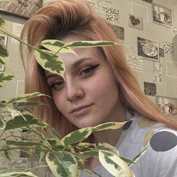 , 22, 