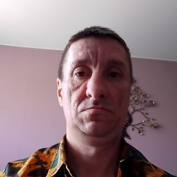 ���� �����, �������, 43 ���� - ��������� 17 ����� 2026