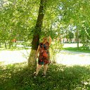 ���� ����, ���������, 49 ��� - ��������� 14 ���� 2025