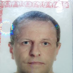 , 59, 