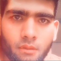 ����, �������, 29 ���