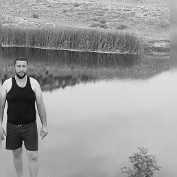 , 33, 