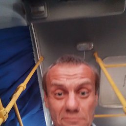 ����, 42 ����, ��������