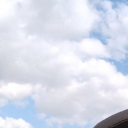 �������, ������, 43 ����